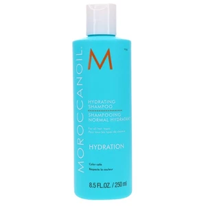 CHAMPÚ HIDRATANTE MOROCCANOIL 8,5 OZ ~ NUEVO - Imagen 1 de 8
