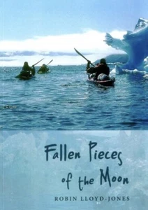 Fallen Pieces of the Moon Paperback Robin Lloyd-Jones - Picture 1 of 1