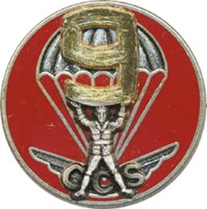 9° Régiment de Chasseurs Parachutistes, C.C.S, type 1, 9 doré, Ballard (11237) - Imagen 1 de 2