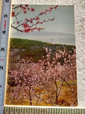 Postcard East Tung Ting Hills China - Image 1 of 4