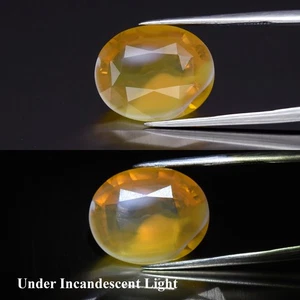 💎 Opale giallo naturale ovale 6,65 ct 15x12,2 mm - pietra preziosa Africa - Foto 1 di 6