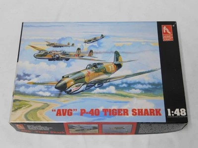 1/48 Hobbycraft Segunda Guerra Mundial EE. UU. AVG P-40 Tigre Tiburón Plástico Escala Modelo Kit Completo Foto 1 de 2