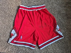 Kirk Hinrich 2003-04 CHICAGO BULLS NIKE GAME WORN TEAM PUBLISHED SHORTS Signed 42 - Bild 1 von 13