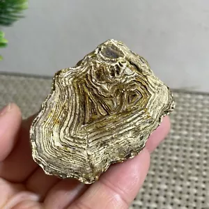 Bonsai Suiseki Naturale 75g - Pietra Occhi Agata Gobi Naturale - Raro Splendido - Foto 1 di 13