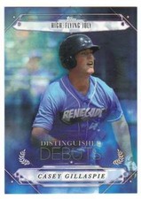 2015 Topps Pro Debut Distinguished Debuts #DD-14 Casey Gillaspie Hudson Valley