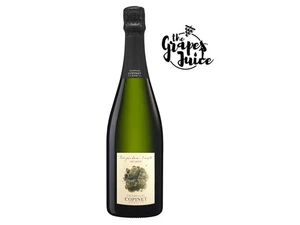 MARIE COPINET NOS PAS DANS...L'ARGILE MEUNIER CHAMPAGNE BRUT NATURE FRANCIA - Imagen 1 de 1