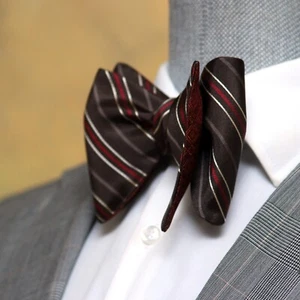 Men's Self-tied Bow Tie 100%Silk Big Butterfly Brown Ornament Striped S679 - Picture 1 of 17