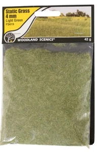 Woodland Scenics erba statica verde chiaro 4 mm # FS619 - Foto 1 di 2