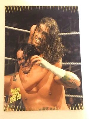 Stevie Richards WWE Action Wrestling Trading Card 2007 #65 - Image 1 of 2