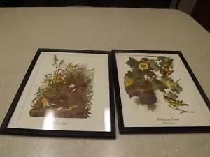 Vintage Pair Framed Print Mocking Meadowlark & Baltimore Oriole lot 11X13" frame - Picture 1 of 3