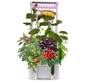 Sistema de cultivo hidropónico inteligente con LED Superegrow Hydroponics Growing Systems - Imagen 1 de 13