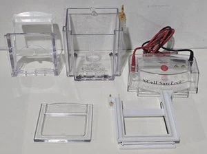 Invitrogen XCell SureLock Novex Mini-Cell Electrophoresis - Picture 1 of 7