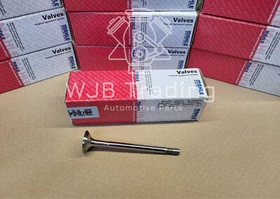 NEW MAHLE EXHAUST VALVE 011VA30314000 VAUXHALL ASTRA CAVALIER 1.6 1.7 D - Image 1 of 2