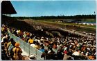 VINTAGE POSTCARD 1960s AT THE HOLLYWOOD PARK RACING COURSE INGLEWOOD CALIFORNIA