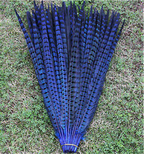 DYED ENGLISH RINGNECK Pheasant Feathers 20-26" MANY COLORS! Costume/Hats/Craft