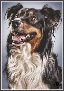 Australian shepherd 1191 - Chart Counted Cross Stitch Pattern craft - Picture 1 of 5