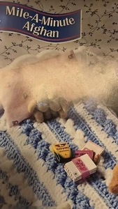 Annie's FASHION Doll CROCHET CLUB PATTERN Mile A Minute Afghan - Picture 1 of 4