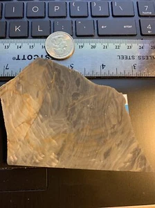 Jasper 4 X 3 X 1/4 Inch Slab For Cab Unknown ??? Not Polished - Picture 1 of 4