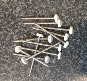20 x 65mm Cream White UPVC Plastic Headed Pin Nail Poly Top A4 Stainless Steel - Picture 1 of 2