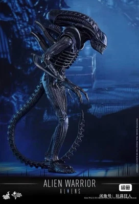 Hot Toys  1/6  MMS354 Alien Warrior Battle Damaged Version  Figure  In Stock - Image 1 of 4