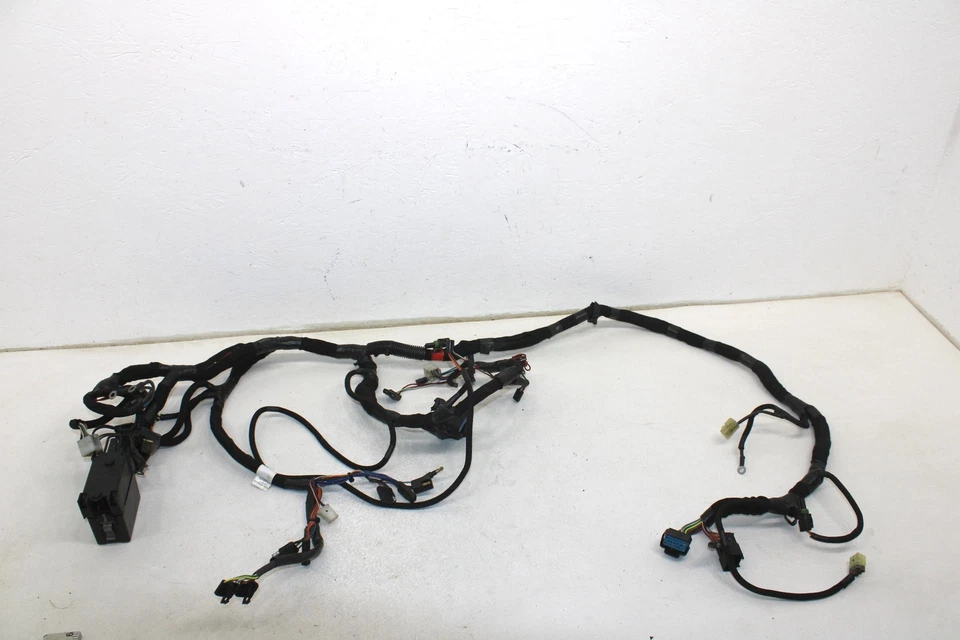 08 Arnés de cableado principal Polaris Iq Fst Cruiser OEM 2410925 SP174 Foto 1 de 4