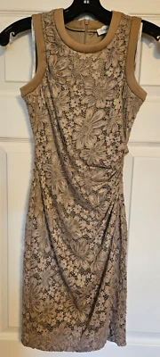 Calvin Klein~Womens~Side Ruched~Lace~Fully Lined~Sheath Dress~Zip Back~Size 2P - Image 1 of 4