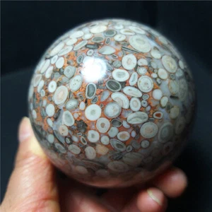 TOP 529G 71mm Natural Polishing Ocean Jasper Ecology Ball Healing Stoae BA860 - Picture 1 of 17