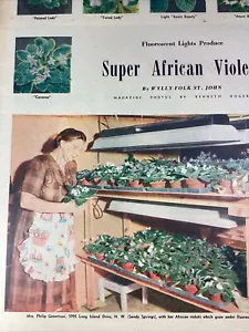 Atlanta GA Print Artículo 1952 AJC Violet Gentison Long Island Sandy Springs - Imagen 1 de 10