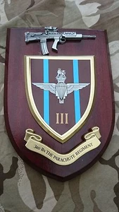 3 bn Parachute Regiment Military Wall Plaque + Pewter SA80 - Picture 1 of 1