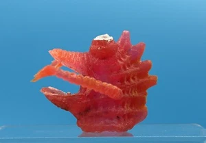 Vintage Ugly Jiggler Rubber Monster Finger Puppet BOX SHIPPED (Q) - Picture 1 of 8