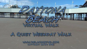 "TREADMILL WALK On DAYTONA BEACH", Exercise, Relaxation, Travel DVD - Imagen 1 de 8