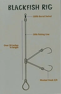 Schwarzfisch Tog Tauog SALZWASSER FISCH RIG MUSTAD 3/0 HAKEN 50 Pfund MONO 2 Haken - Bild 1 von 9