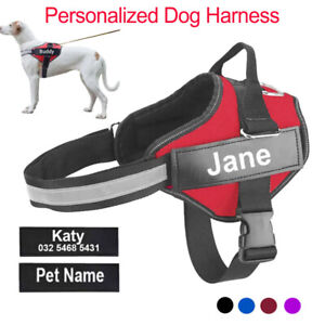 Personalized Dog Harness NO PULL Reflective Breathable Puppy Vest Padded Handle
