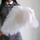 Wholesale 10/50 Ostrich Feathers 6-28inch/15-70cm Wedding Party Decor Costume