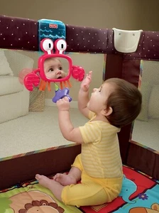 Fisher-Price Discover & Grow Peek-a-boo Playard Crab  - Picture 1 of 3