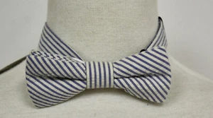 Crewcuts J Crew Boys Bowtie Bow Tie Blue White Striped check Clip On Adjustable - Picture 1 of 2