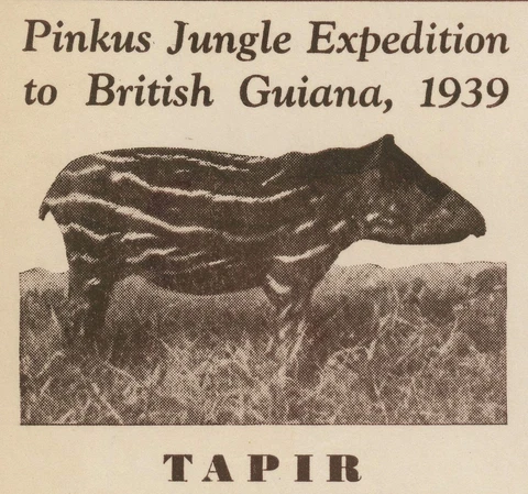 British Guiana Pinkus Jungle Expedition 1939 Signed Cover #230 Pair 2c Postage Cover