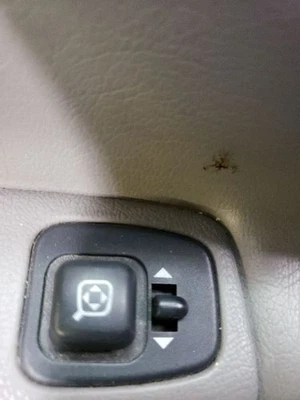 Interruptor de puerta delantera del conductor cerradura del conductor para Ford E150 Van 97-08 941616 Foto 1 de 4