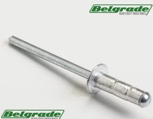1691-0619 Rivetto Testa Lo-Profilo Alluminio/Acciaio, Diapositiva 3/16"." (Borse da 10 - Foto 1 di 1