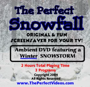 The Perfect Snowfall Snow DVD Winter SNOWSTORM Video Blowing Snow Scenes Snowing - Imagen 1 de 2