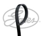 Gates Micro-V Drive Belt For Peugeot Boxer 1.9 Litre July 1999 To July 2002