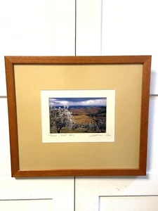 Fotografía artística firmada por Italia de la campiña toscana 2003 de colección enmarañada y enmarcada LN - Imagen 1 de 5