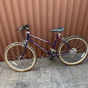 RALEIGH ENIGMA 66CM 10 SPEED WOMENS MTB MOUNTAIN BIKE BICYCLE - Picture 1 of 8