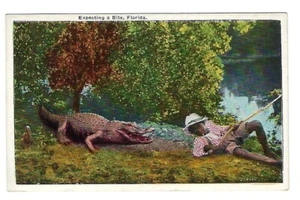 c1909 Drew Co. Postkarte Florida künstlerische Serie, Junge am Fluss - Bild 1 von 2