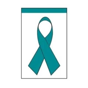 Annin Flagmakers 2791 12 x 18 in. Nylon-Glo Ribbon Banner- Teal - Picture 1 of 1