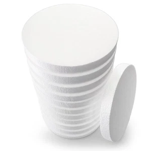 12 Pack 8 Inch Foam Circles for Crafts, Round Polystyrene Disc for Arts and C... - Picture 1 of 8
