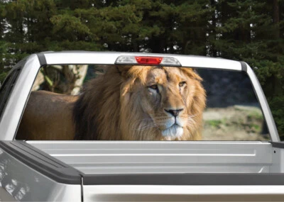 Lion #2 Rear Window Decal Graphic for Truck SUV - Image 1 of 3