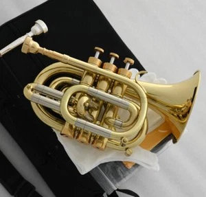 Professional Gold Pocket Trumpet Bb Horn Monel valves New Case - Picture 1 of 4
