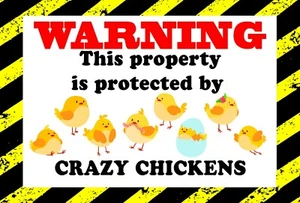 Protected By Crazy Chickens - Lustiges Warnschild - Blechschild für drinnen/draußen - Bild 1 von 1