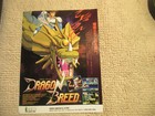 original 1990 ad 11- 8.5'' dragon breed irem   ARCADE VIDEO GAME FLYER    